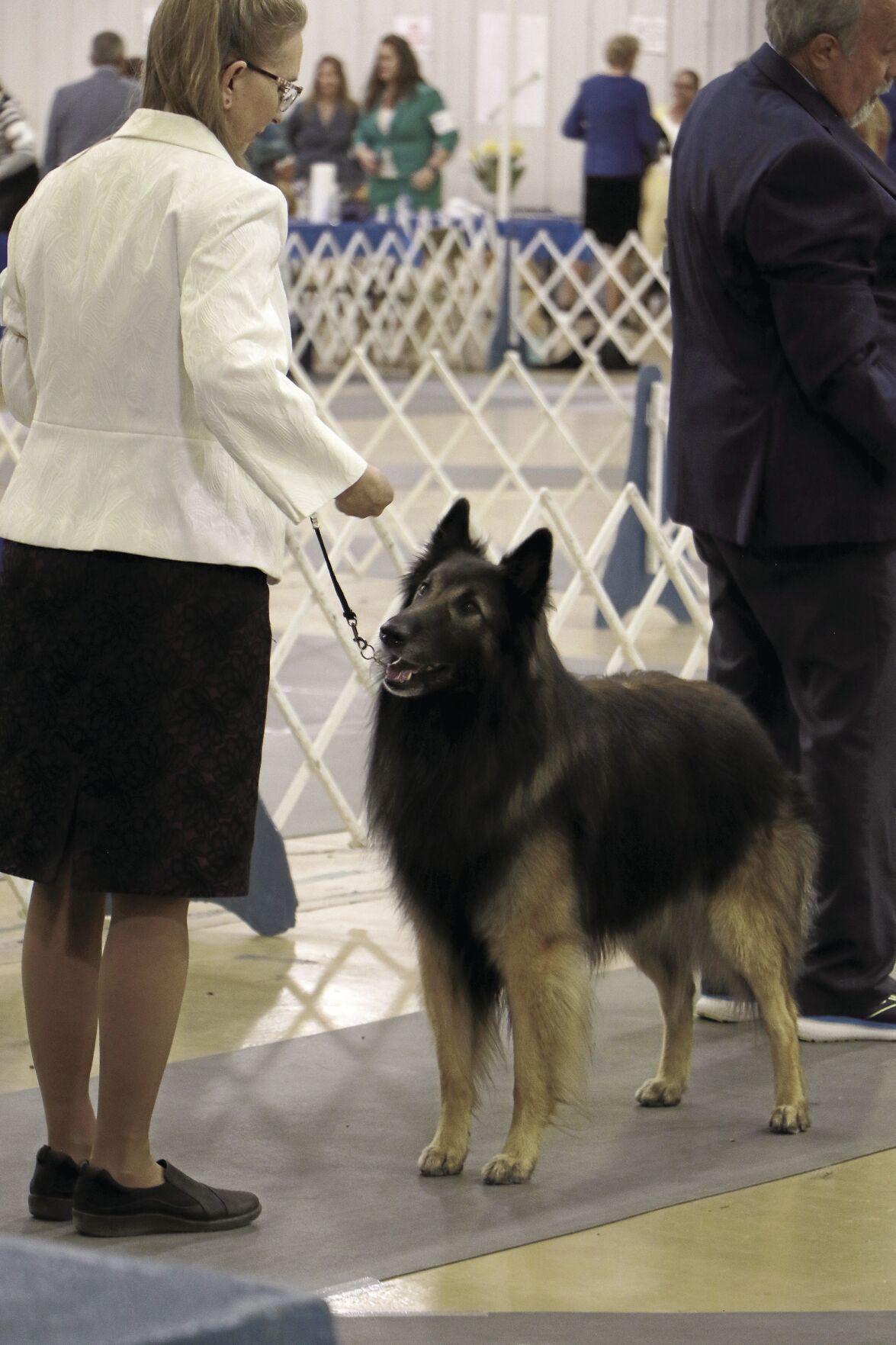 PHOTOS: 2022 AKC Dog Show